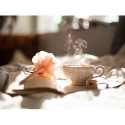 Incredible Wooden Gloves fr-FR